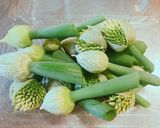 春☆今が旬！ネギ坊主の美味しい天ぷら作り方1写真