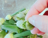 春☆今が旬！ネギ坊主の美味しい天ぷら作り方2写真