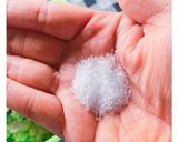 野菜と大豆のみのヘルシー餃子作り方7写真
