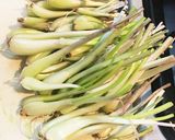 簡単!島らっきょ。塩だけ美味しい!作り方3写真