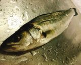 スズキのムニエル作り方1写真