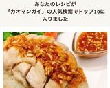 炊飯器で簡単✤カオマンガイ作り方10写真