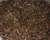 ヒジキのカレーがけ　そんなに美味しくない作り方5写真