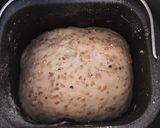 自家製天然酵母の胡桃入り全粒粉食パン作り方2写真