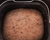 自家製天然酵母の胡桃入り全粒粉食パン作り方3写真