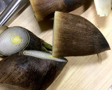 筍のアク抜き方法作り方1写真