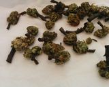 筍、こごみ、ふきのとうの塩漬けの山菜料理作り方4写真
