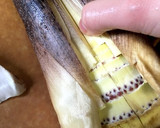 3分で下ゆで準備完了の筍（たけのこ）！作り方3写真