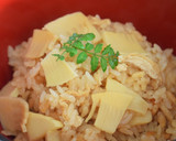 春のおもてなし✿筍と鶏肉のほっこり煮作り方3写真