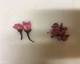 桜ミルクプリン作り方1写真