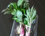 採りたてウドと厚揚げのとろっと炒め作り方1写真