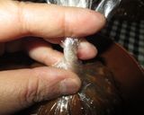 1食分小分けカレー作り方6写真