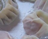 カンタンわんこ水餃子（FOR犬）作り方3写真