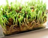 レンチン♪豆苗とツナとお揚げさん作り方6写真
