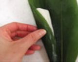 ちまき作り方11写真