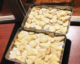 干ししょうがハチミツ作り方1写真