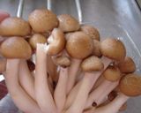 最端の森のカレー作り方17写真