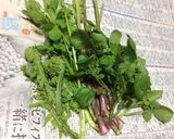 野草と鶏肉のスキヤキ風！作り方1写真