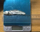 昆布＆煮干しの出汁の取り方☆１番２番出汁作り方10写真