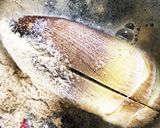 炊飯器で簡単!たけのこご飯♪作り方1写真