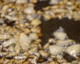 カプサ/Kabsa作り方14写真