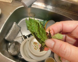 うど菜とハリいかのかき揚げ　サクサク簡単作り方2写真