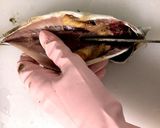 冷蔵庫で簡単干物作り(アジの開き)作り方2写真