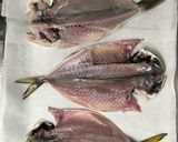 冷蔵庫で簡単干物作り(アジの開き)作り方8写真
