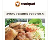 鶏もも肉の柔らかこってり味噌みりん焼き✨作り方8写真