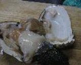 貝、貝、貝作り方3写真