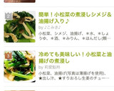 冷めても美味しい！小松菜と油揚げの煮浸し作り方4写真