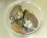 美味しく簡単♪ホッキ貝のフライ作り方1写真