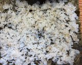 簡単おいしい自家製焼き鯖巻き寿司作り方4写真