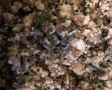 ベジタリアン　スパゲッティー豆腐ボール作り方3写真