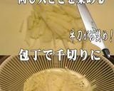 美味ドレの白菜の浅漬けで美味辛大根サラダ作り方4写真