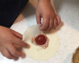 トマトとチーズの洋風餃子作り方3写真