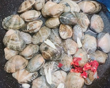 簡単！あさりと豆苗の白ワイン蒸し作り方3写真