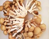 レンジ時短！豚肉と大根の醤油マヨ炒め作り方3写真