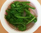 コゴミの梅胡麻和え作り方3写真