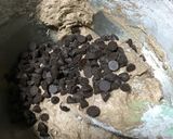チョコチップマフィン6個分作り方8写真