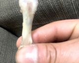 手羽元煮込み鍋に入れて簡単待つだけウマッ作り方7写真