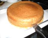 '08 ひなまつりのケーキ作り方10写真