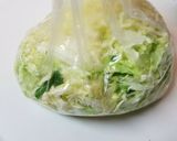 酢キャベツでデブ菌退治✳春キャベツ☆菌活作り方2写真