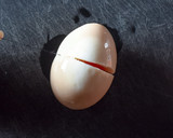 切り口スパっと！茹で卵の切り方◎簡単作り方3写真