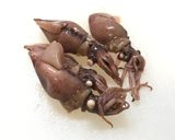 春キャベツとタケノコで作るペペロンチーノ作り方3写真
