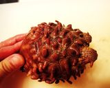 ホヤの酒蒸し作り方1写真