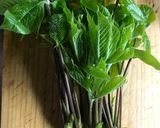 山菜の簡単白和え作り方1写真