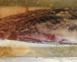 塩酒粕で旨♪カツオのお刺身&たたき風作り方2写真