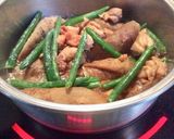 太いゴボウ 鶏モモの 梅干し煮作り方3写真