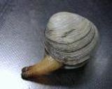 貝、貝、貝作り方13写真